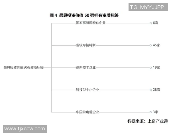 姚明谈房产投资心得与市场趋势分析分享